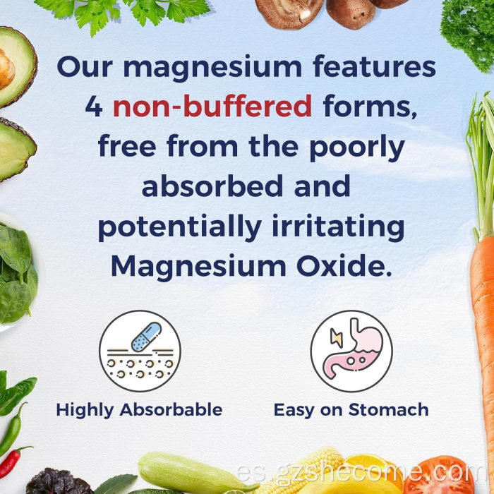 Shecome Magnesium Complex Cápsulas Hueso Corazón Apoyo inmunológico